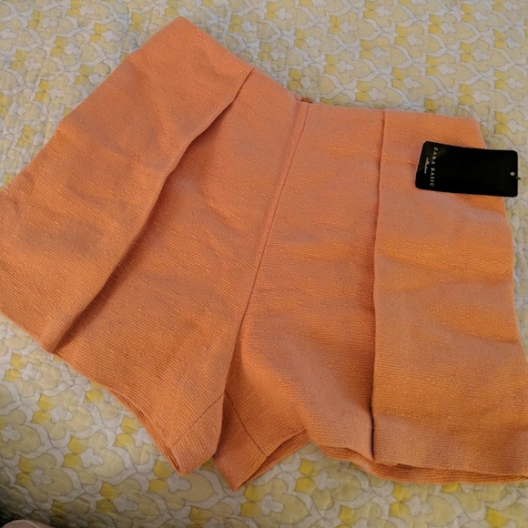 Zara Pants - NWT Zara Pleated Shorts
